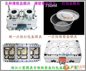 塑料模具 薄壁300ml保鮮盒模具行業(yè)領(lǐng)先10年