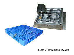 臺(tái)州注塑托盤模具與塑料模具的發(fā)展與應(yīng)用